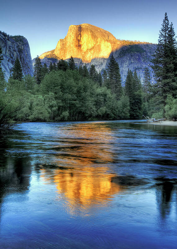 Scenics Art Print featuring the photograph Golden Light On Half Dome by Mimi Ditchie Photography