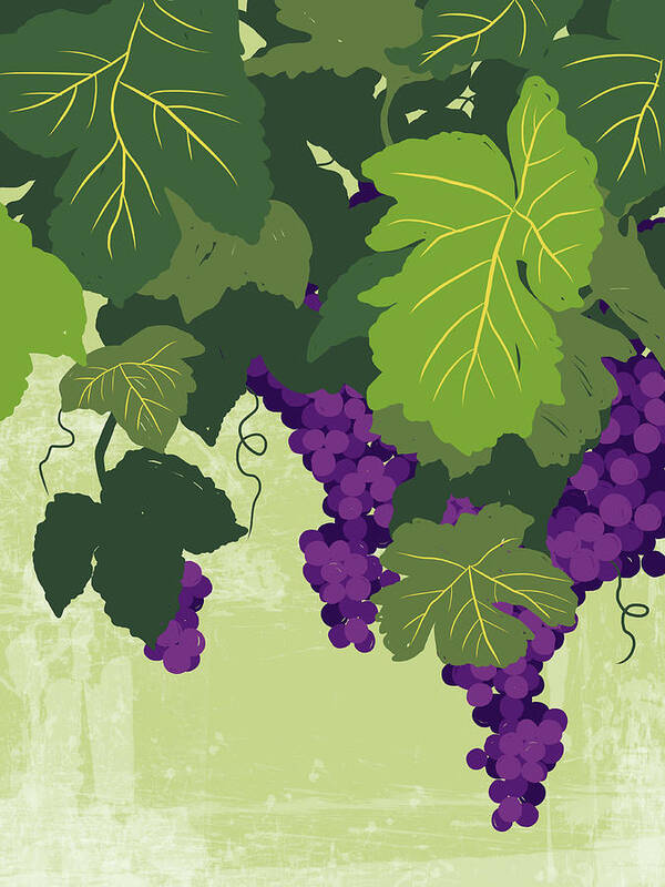 Hanging Art Print featuring the digital art Graphic Illustration Of Wine Grapes On by Don Bishop
