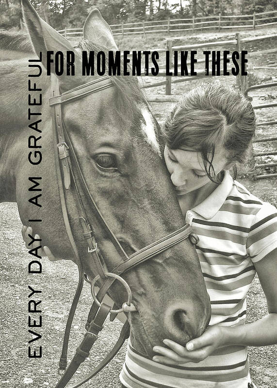 Barn Art Print featuring the photograph GRATEFUL quote by Dressage Design