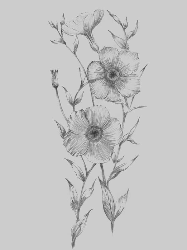 Flower Art Print featuring the mixed media Grey Flower Sketch Illustration I by Naxart Studio