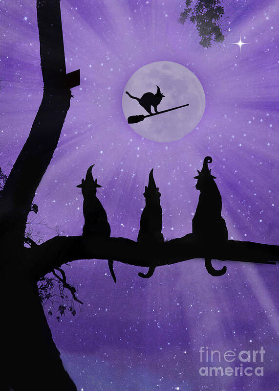 Hallween Art Print featuring the photograph Halloween Witch Cats by Stephanie Laird
