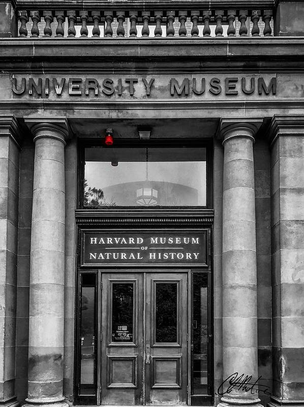 Architecture Art Print featuring the photograph Harvard Museum of Natural History by Chris Montcalmo