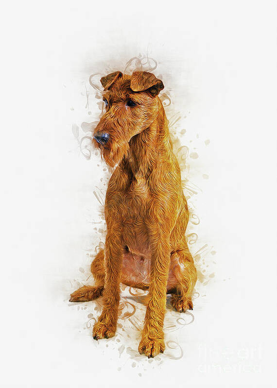 Dog Art Print featuring the digital art Irish Terrier by Ian Mitchell