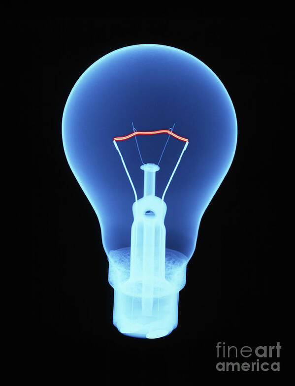Light Bulb Art Print featuring the photograph Light Bulb by D. Roberts/science Photo Library