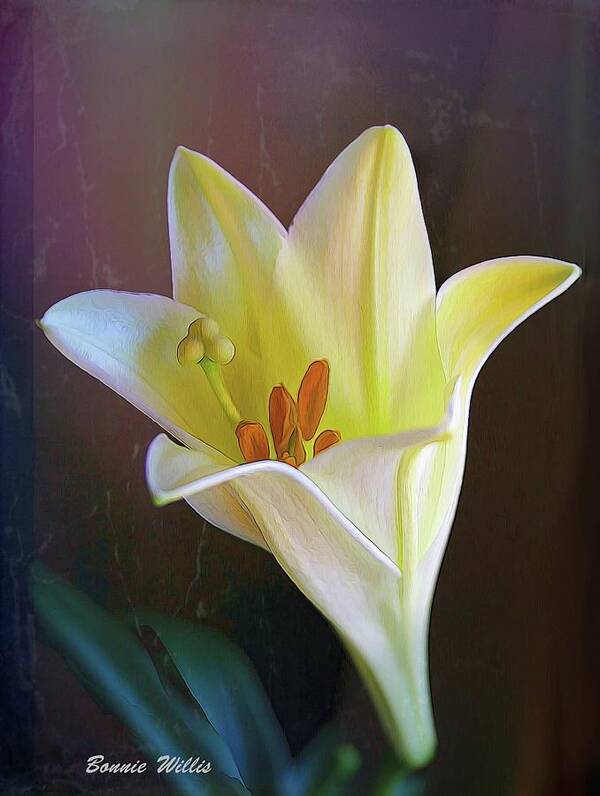 Lily Art Print featuring the digital art Luscious Lily by Bonnie Willis