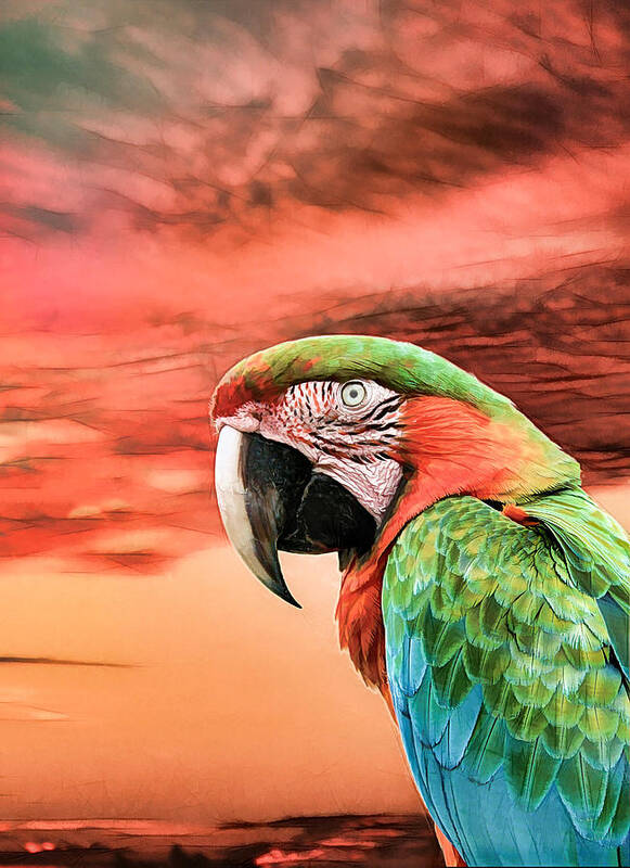 Parrot Art Print featuring the photograph Macaw Parrot by Rosalie Scanlon