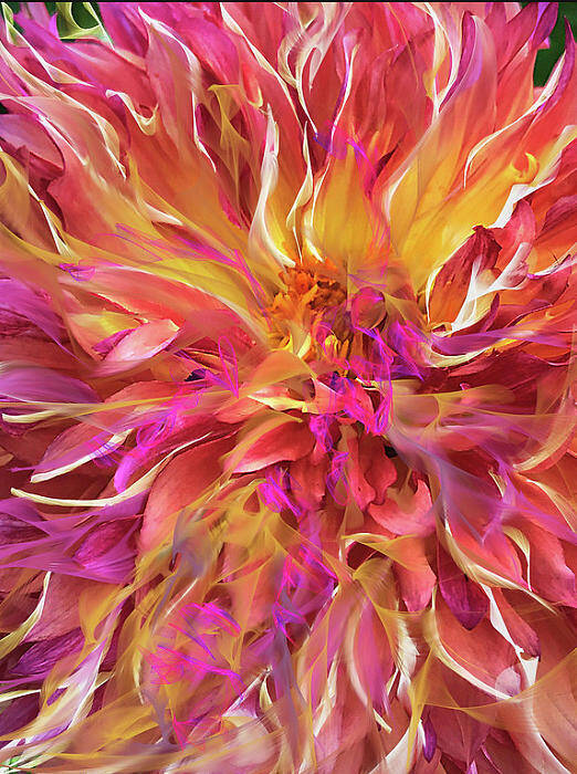 Magenta Art Print featuring the digital art Magenta Sunshine by Cindy Greenstein