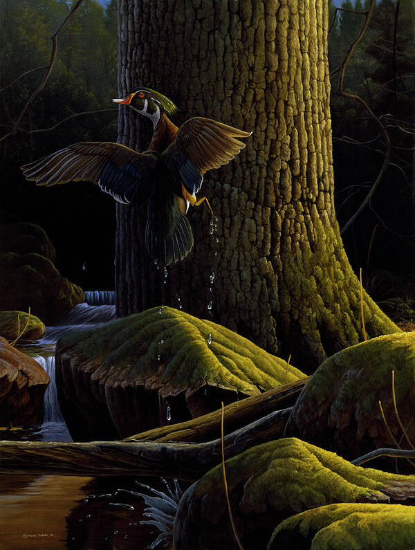 A Wood Duck In Flight In The Woods Next To A Small Stream And A Large Tree Art Print featuring the painting Magical Moment by Michael Budden