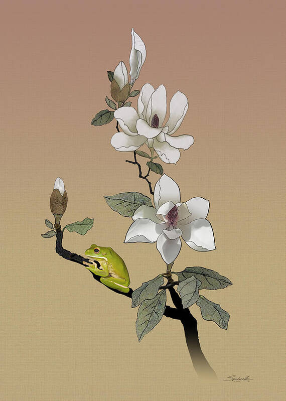 Magnolia Art Print featuring the digital art Magnolia and Tree Frog by M Spadecaller