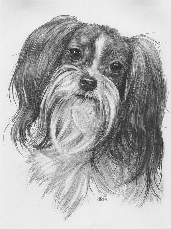 Dog - Papillion/yorkshire Terrier Mix Art Print featuring the painting Miki by Barbara Keith