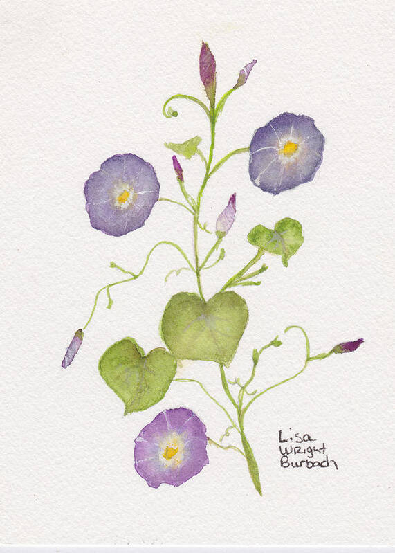 Flower Art Print featuring the painting Morning Glories by Lisa Burbach