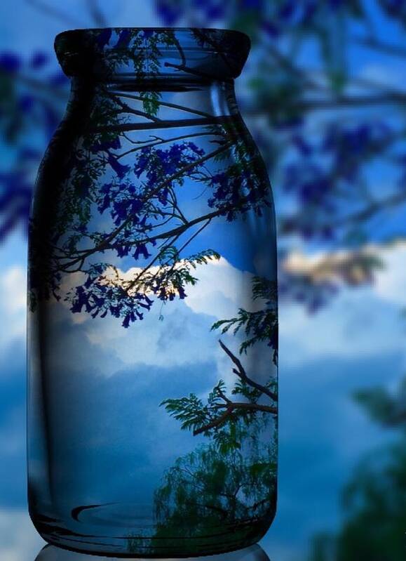 Colettte Art Print featuring the photograph Nature Through Bottle by Colette V Hera Guggenheim