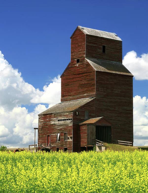 Scenics Art Print featuring the photograph Old Grain Elevator by Imaginegolf