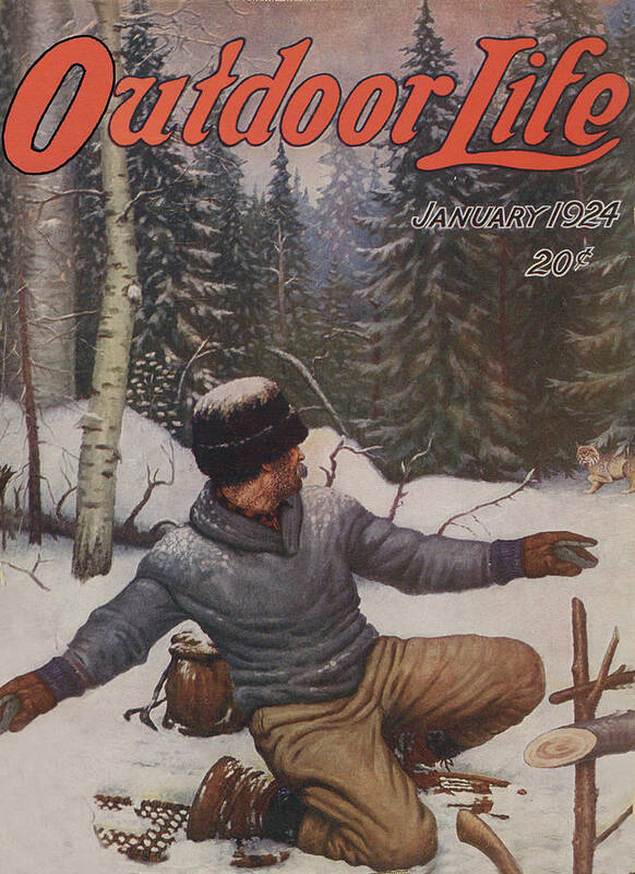 Bobcat Art Print featuring the painting Outdoor Life Magazine Cover January 1924 by Outdoor Life