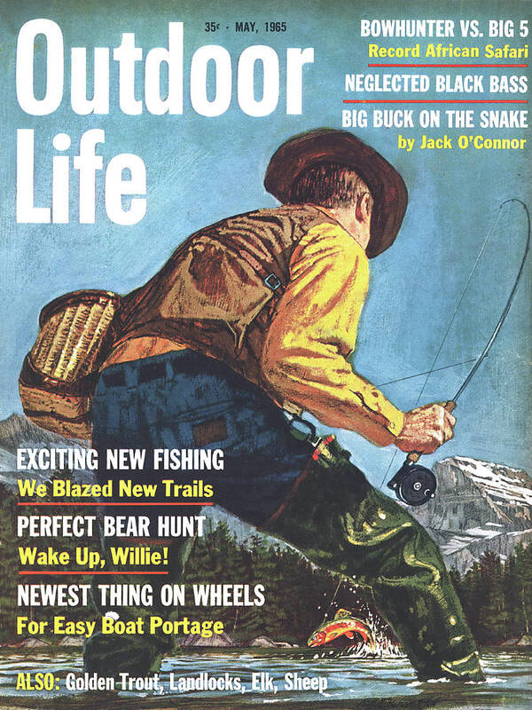 Trout Art Print featuring the drawing Outdoor Life Magazine Cover May 1965 by Outdoor Life