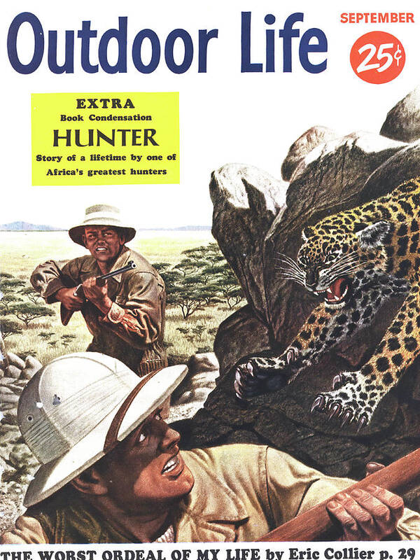Savannah Art Print featuring the drawing Outdoor Life Magazine Cover September 1953 by Outdoor Life