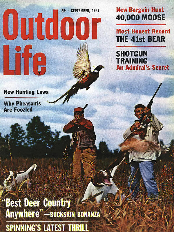 Pheasant Art Print featuring the photograph Outdoor Life Magazine Cover September 1961 by Outdoor Life