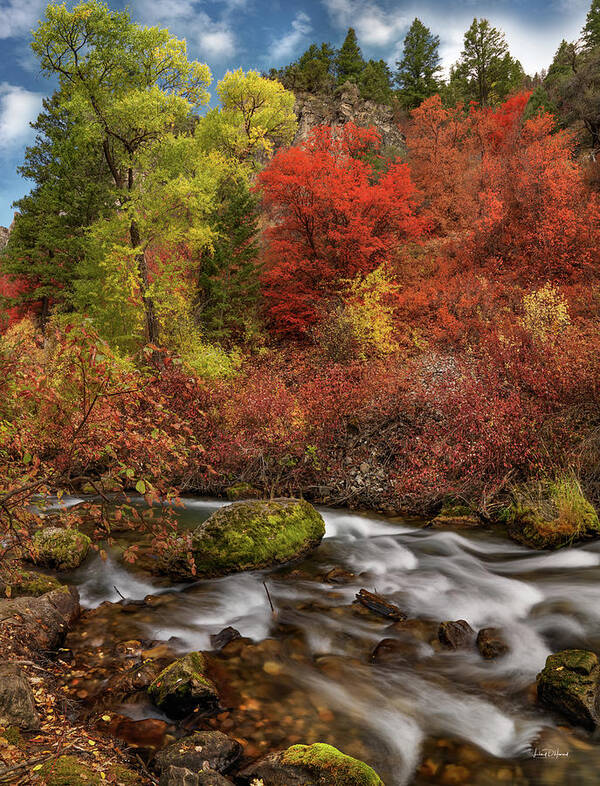 Nature Art Print featuring the photograph Palisades Creek Colorful Glow by Leland D Howard