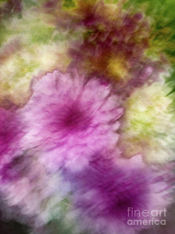 Abstract Art Print featuring the photograph Pink flower abstract by Phillip Rubino