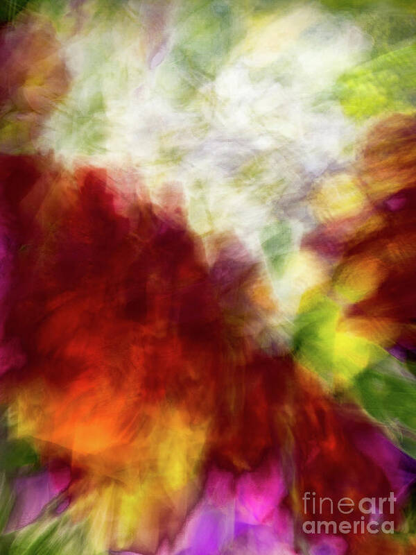 Abstract Art Print featuring the photograph Red and white flower motion abstract by Phillip Rubino