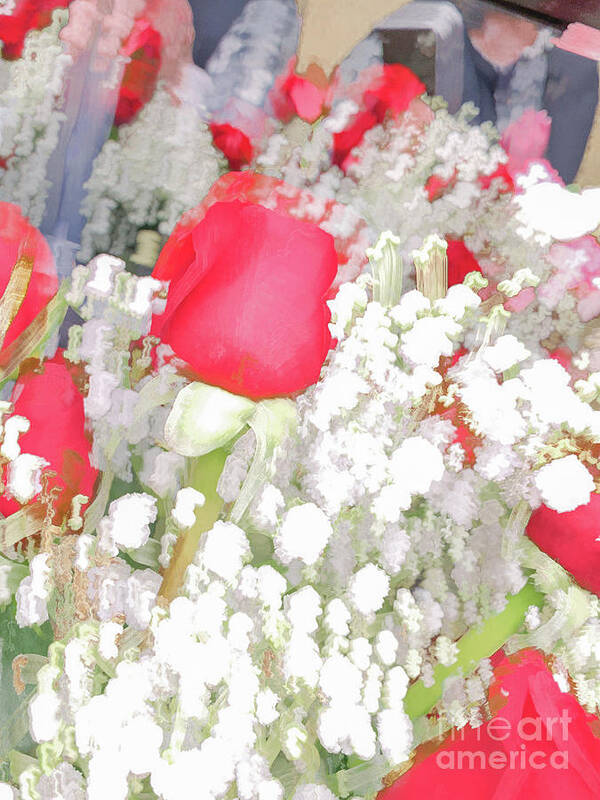Abstract Art Print featuring the photograph Red and White flowers pastel by Phillip Rubino