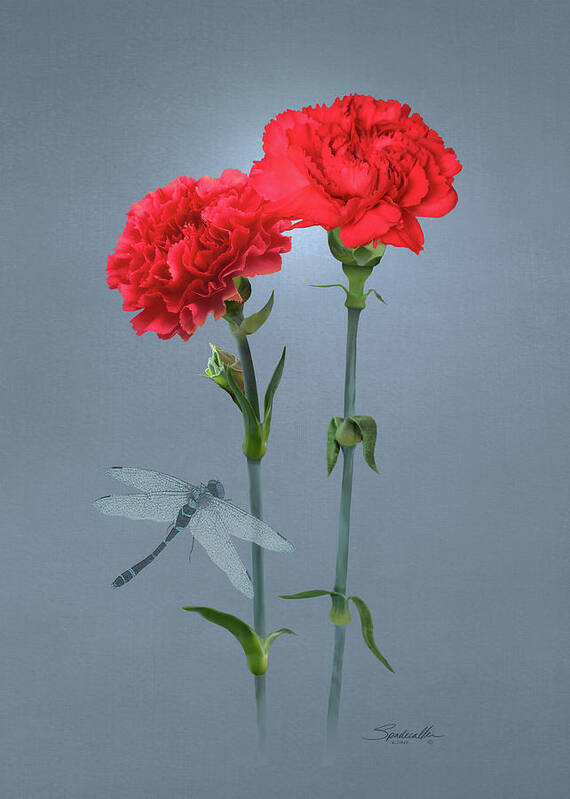 Flowers Art Print featuring the digital art Carnations of Eden by M Spadecaller