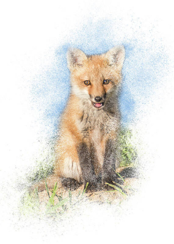 Fox Art Print featuring the photograph Red Fox Kit #1 - Sitting Tall by Patti Deters