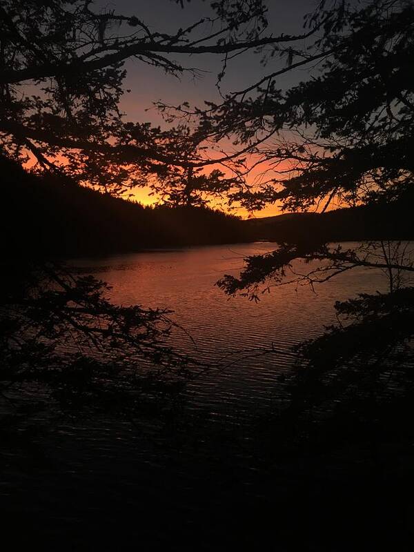 Red Art Print featuring the photograph Red Sunset Silhouette by Jerry Abbott