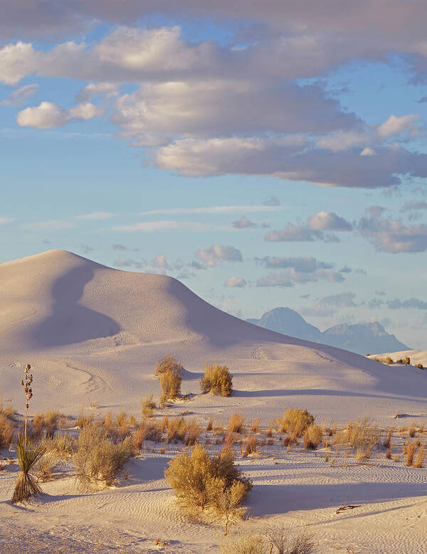 00557661 Art Print featuring the photograph Sand Dune, White Sands Nm, New Mexico by Tim Fitzharris