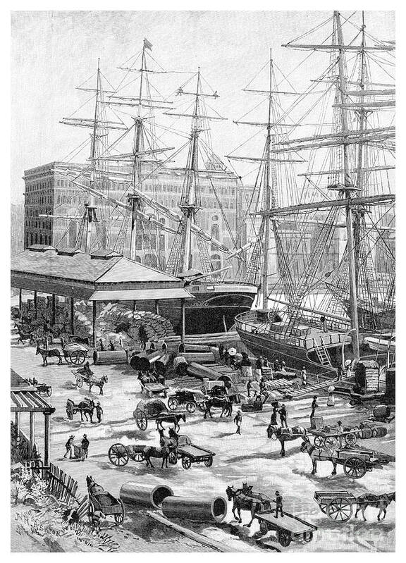 Engraving Art Print featuring the drawing Shipping, Circular Quay, Sydney, New by Print Collector