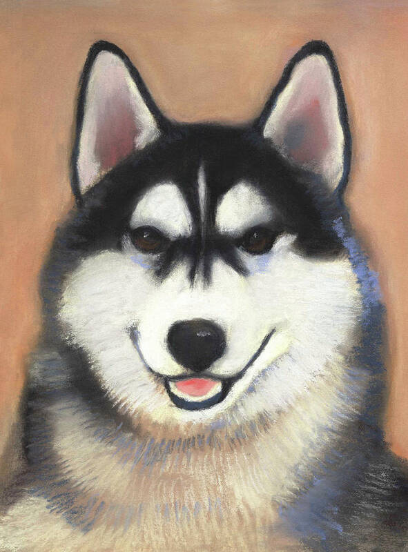Siberian Husky Art Print featuring the pastel Siberian Husky by Linda Ruiz-Lozito