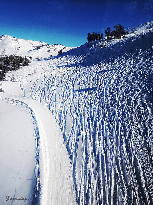 Ski Art Print featuring the photograph Ski Slope by David Zumsteg