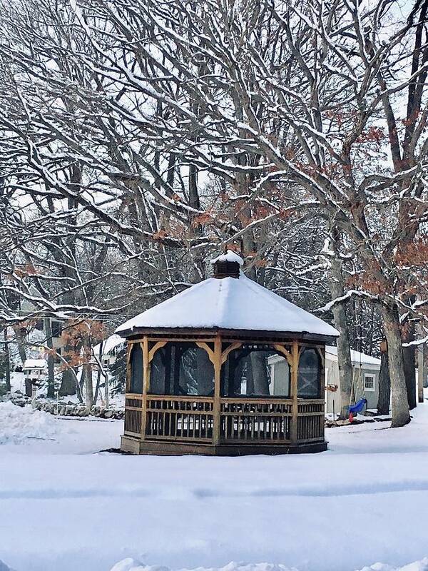 Landscape Art Print featuring the photograph Snow-Covered Gazebo and Trees by Lisa Pearlman