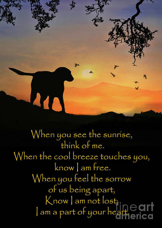 Spiritual Art Print featuring the photograph Spiritual Dog Sympathy Poem by Stephanie Laird