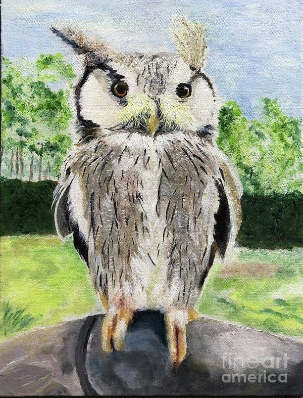 Owl Art Print featuring the painting Steve by Kate Conaboy