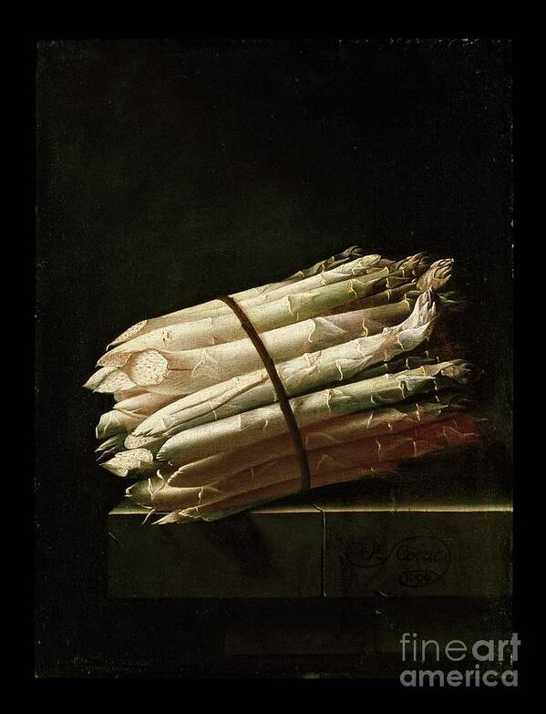 Oil Painting Art Print featuring the drawing Still Life Of Asparagus by Heritage Images