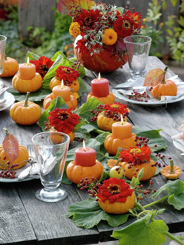 Image of Pumpkins and zinnias