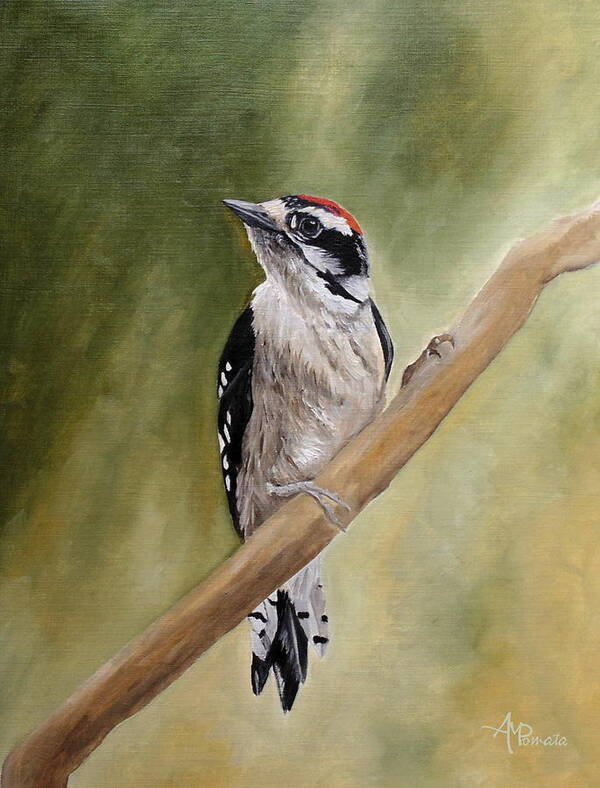 Woodpecker Art Print featuring the painting That Familiar Song by Angeles M Pomata