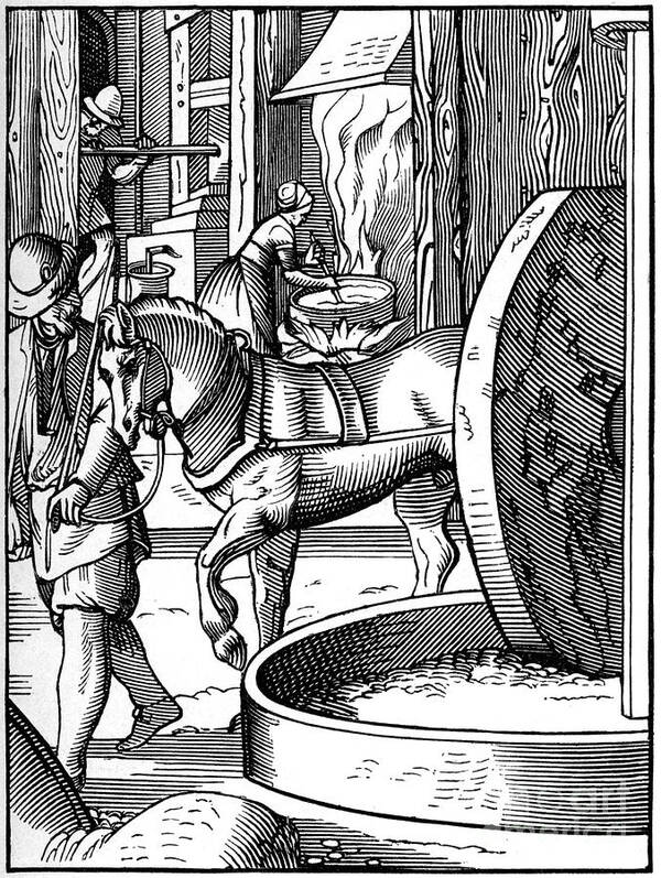Horse Art Print featuring the drawing The Manufacture Of Oil, 16th Century by Print Collector