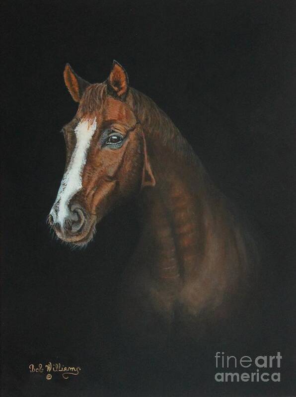 Horse Art Print featuring the painting The Stallion by Bob Williams