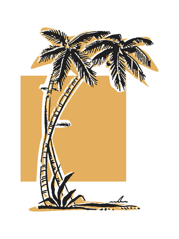 Beach Art Print featuring the drawing Two Palm Trees by CSA Images