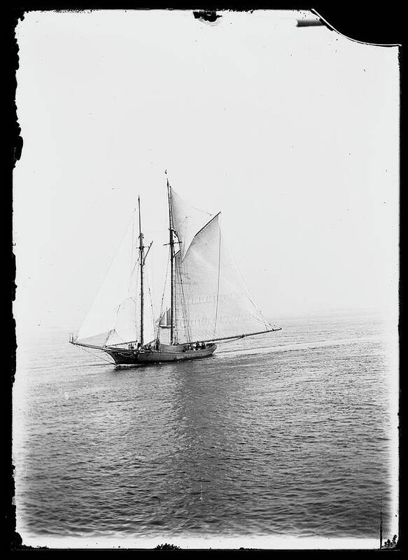 1910-1919 Art Print featuring the photograph Unidentified Deep Sea Fishing Schooner by The New York Historical Society