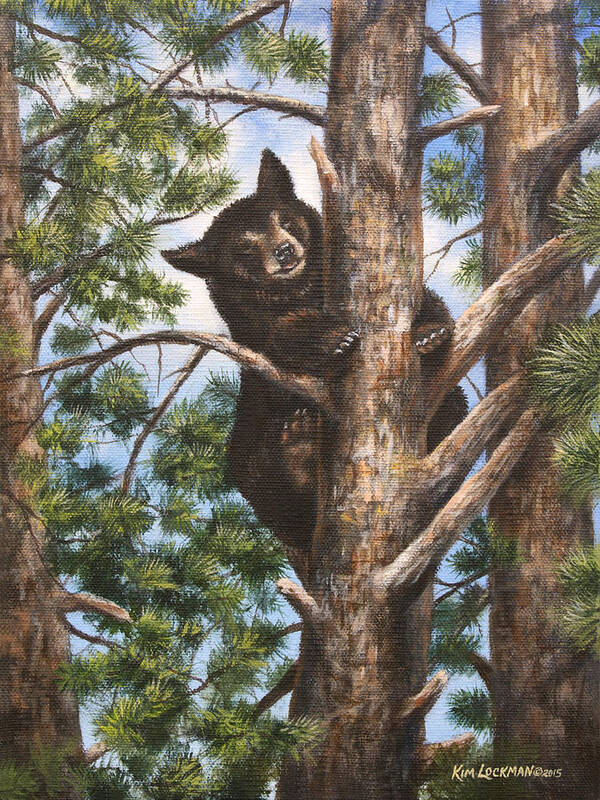 Bear Art Print featuring the painting Up A Tree by Kim Lockman