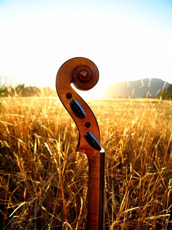 Classical Theater Art Print featuring the photograph Violin by Juanestey