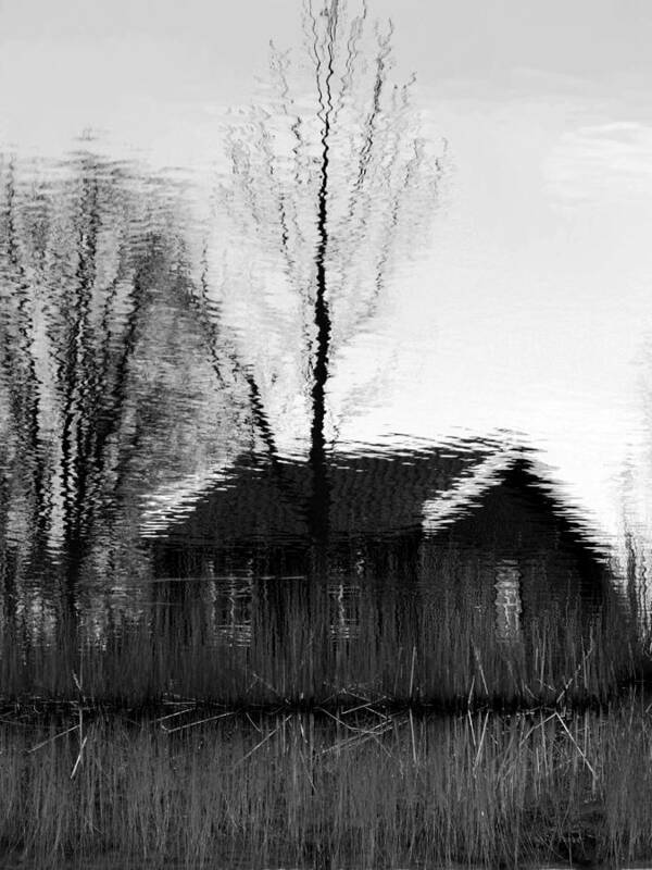 Black And White Art Print featuring the photograph Water-ink house by Luc Van de Steeg