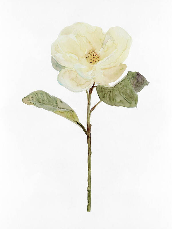 Botanical & Floral Art Print featuring the painting White Blossom II by Stellar Design Studio