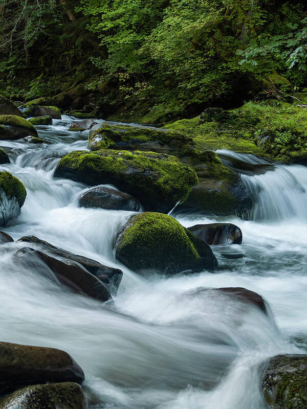 Rivers Art Print featuring the photograph White Water by Steven Clark