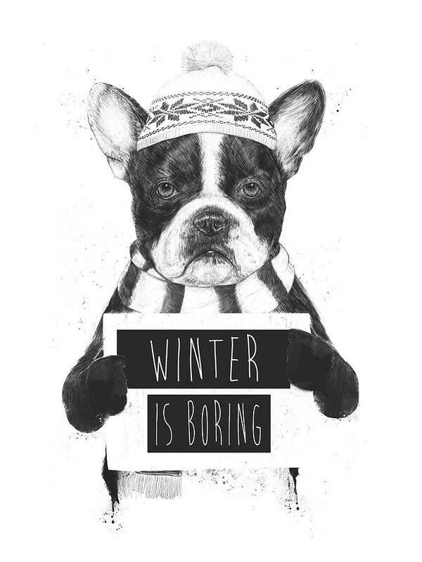 Bulldog Art Print featuring the mixed media Winter is boring by Balazs Solti