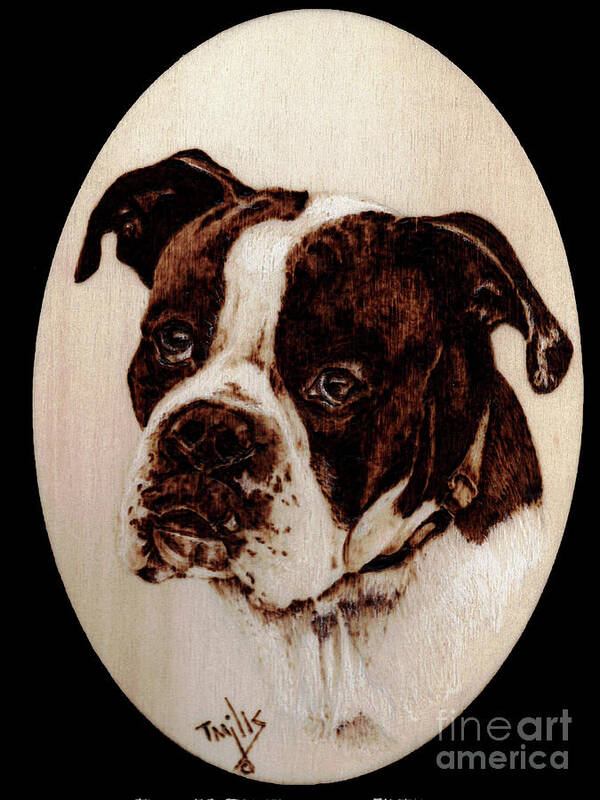 Dog Art Print featuring the pyrography Boxer Dog #1 by Terri Mills