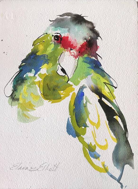 Tropical Birds Art Print featuring the painting Parrot Portrait by Elaine Elliott